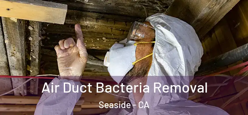  Air Duct Bacteria Removal Seaside - CA