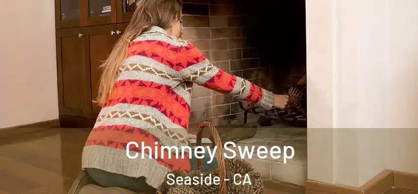  Chimney Sweep Seaside - CA