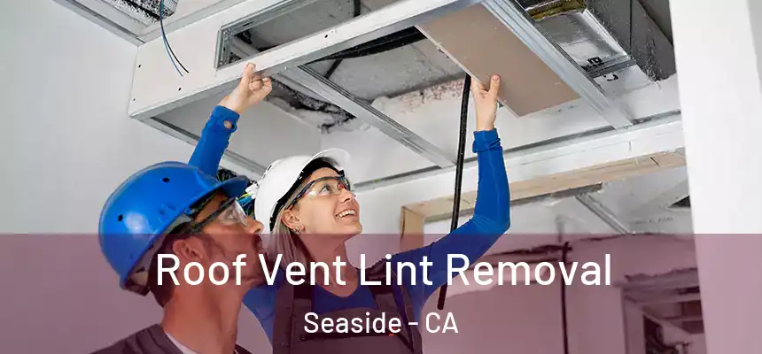  Roof Vent Lint Removal Seaside - CA
