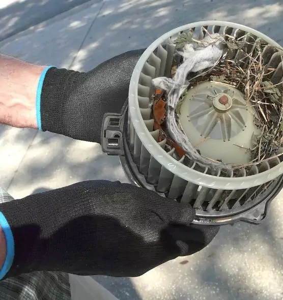 About Air Duct Mice Removal in Seaside, CA