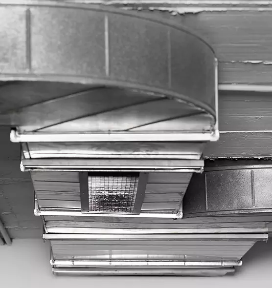 Professional Air Duct Pest Removal in Seaside, CA