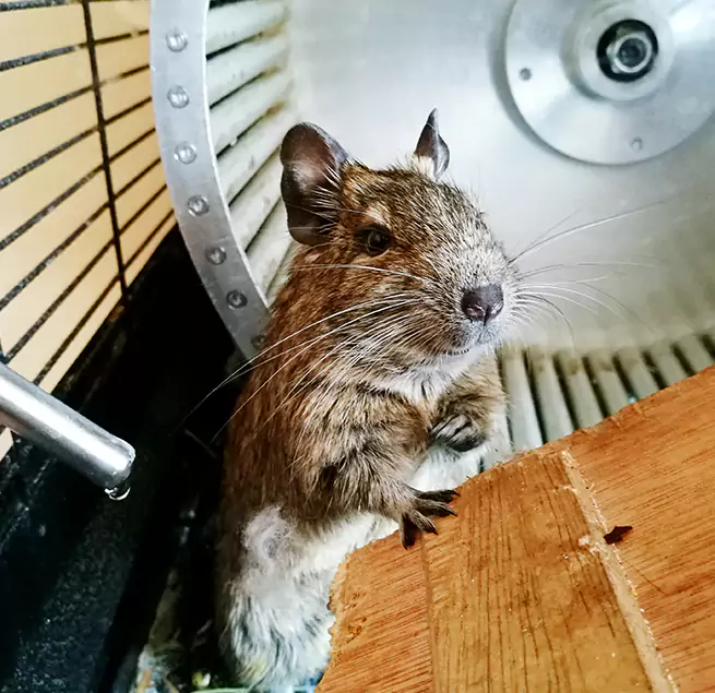 Why Homeowners & Businesses Trust Us Seaside, CA